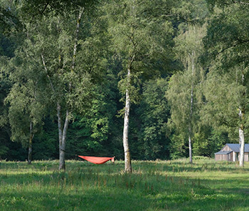 Yoga stages in de natuur